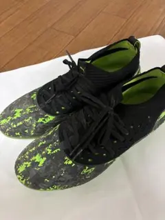 Item thumbnail for item e6667c75-c3fc-4a54-8b91-b9ec1836f616