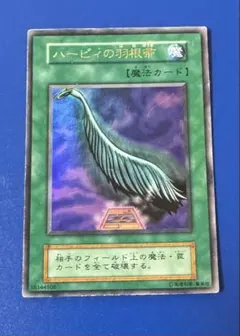 初期】ハーピィの羽根帚 魔法カード - メルカリ