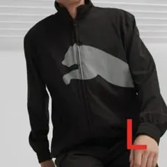 Item thumbnail for item 581a6b10-6365-439f-8eec-acb4d7e06d66