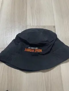 niko and... JURASSIC PARK バケットハット