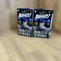 Item thumbnail for item 49db8d5f-8494-463c-b903-e71a4f257499