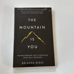 新品未開封THE MOUNTAIN IS YOU / BRIANNA WIEST