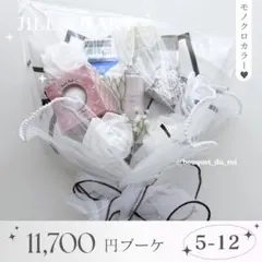 完全未開封・希少】白鳳堂 黒檀パウダー筆 限定コフレセット（ケース