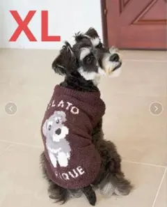 ジェラートピケ ベビモコシュナウザージャガードプルオーバーXLサイズ