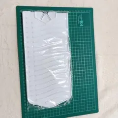 Item thumbnail for item 0ed8ad55-3cbc-4091-a834-ebfd26f0e028