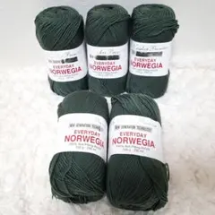 毛糸 エブリデイ ノルウェージア Col.418 (100g玉巻) 5玉