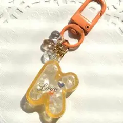 シャカシャカ イニシャルキーホルダー 【Ｋ】小