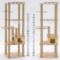 Item thumbnail for item 1b16d501-bdfa-42de-8ad3-ca5eb4aa9c82