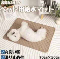 Item thumbnail for item f9418485-fe72-4026-8be2-a6dcc2d78062