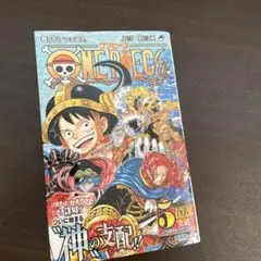 ONE PIECE 113