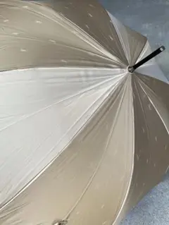 Item thumbnail for item b9a7cba2-bf3b-4e9b-bc66-8d14e9fa7bd1