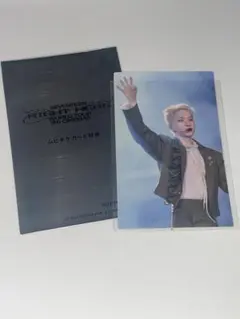 HOSHI ホシ　ムビチケ特典　スマホステッカー