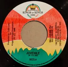 PLAY様 リクエスト 2点 まとめ商品