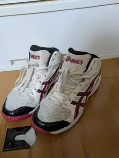 Item thumbnail for item 97cb62d6-303a-4a81-aec7-7bf52877008f