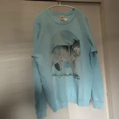 80s fruit of the loom ラグランスウェット