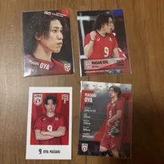 Item thumbnail for item 934851bd-b18f-4249-8369-b1ecb3e0734d