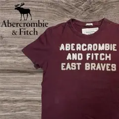 Abercrombie & Fitch Tシャツ 00s フェルトロゴ Y2K