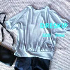 【美品】DRESKIP アイスミント Tシャツ サイズFのサムネイル