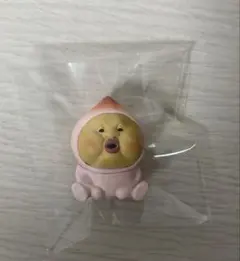 こびとづかん カクレモモジリ