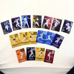 プロ野球 サイン入りトレーディングカードセット