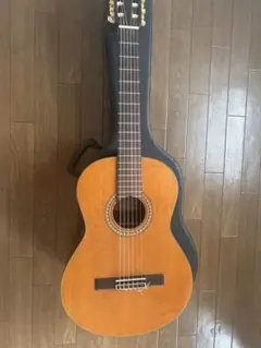 2025年最新】aria アコースティックの人気アイテム - メルカリ