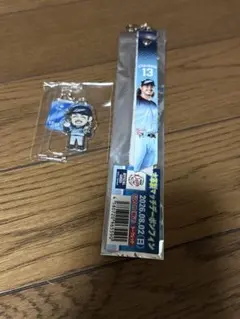 西武ライオンズ高橋光成ボンフィン