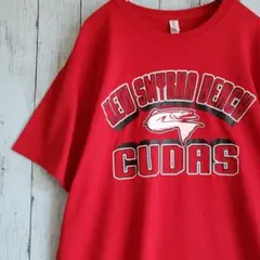 USA輸入 古着 JERZEES Tシャツ Lサイズ