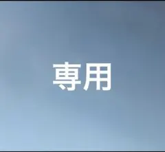 専用