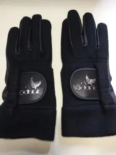 Item thumbnail for item 616ceb26-f938-4e4d-9c7c-e53a9394943e