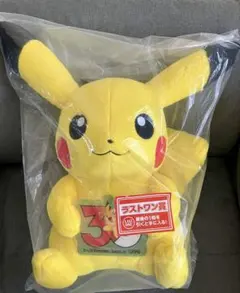 ポケモン 30周年記念 ピカチュウ ぬいぐるみ ラストワン ゼニガメ c賞