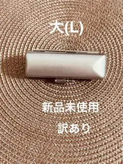 Item thumbnail for item cfa5c614-a28e-421c-aeb9-35bf71fccd93