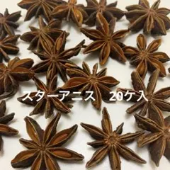 NO354-430スターアニス(木の実／素材) 約20ケ入のサムネイル