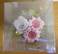 プリザーブドフラワー　プリザードフラワー　鉢花　お祝い　母の日　父の日