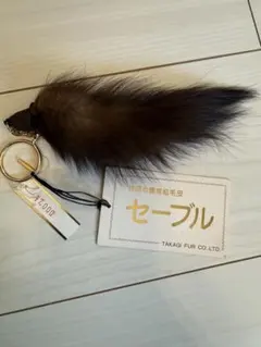 Item thumbnail for item 157fdb77-bae1-4d93-9180-994382c38524