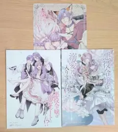 悪役令嬢は溺愛ルートに入りました!?　漫画(6)　小説(9)　特典セット
