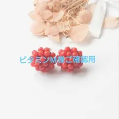 ビタミンM様ご確認用ページ