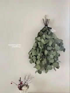 ユーカリポポラスのスワッグL メルカリ便　SALE