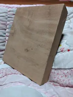 Item thumbnail for item 38057ede-89d1-4f4c-8664-db9aa462b64f