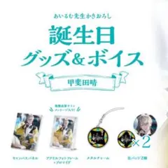 甲斐田晴 誕生日2024 缶バッジ＆チェキセット 6点 - メルカリ