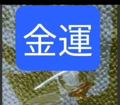 300g☆特選一石☆希少レア☆奇跡の癒しの石【健康美容の石☆良質