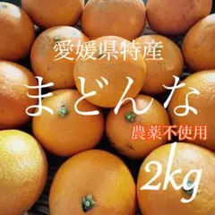 農薬＊化学肥料＊除草剤不使用　 自然栽培　愛媛まどんな(愛果28号) 2キロ