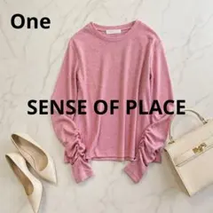n606【センスオブプレイス】ラメリブロングTシャツ シアーのサムネイル