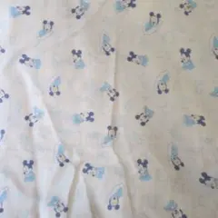 Item thumbnail for item 210d1df9-da2d-4233-b0fb-aa813eeae785