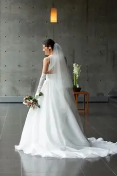 【美品】ウェディングベール　ミドル　PRONOVIAS(プロノビアス)青山