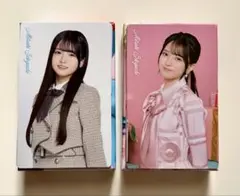 Item thumbnail for item 91f10c17-a6c2-4e58-8a00-f1d7688c21bf