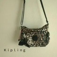 Item thumbnail for item c261f109-e4f1-45c5-92ed-f8f1edc607a5