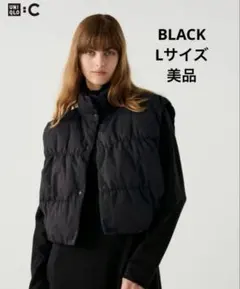 Item thumbnail for item 25677e37-c138-4857-bee5-8ec2b18c458c