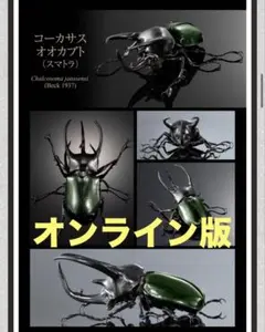 いきもの大図鑑アドバンス　コーカサスオオカブト　スマトラ&モーレンカンプ
