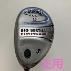 Item thumbnail for item 76bf0a2a-8f1c-4212-af8b-91f9a5ee17b3