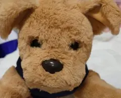 2025年最新】ダッキースターの人気アイテム - メルカリ